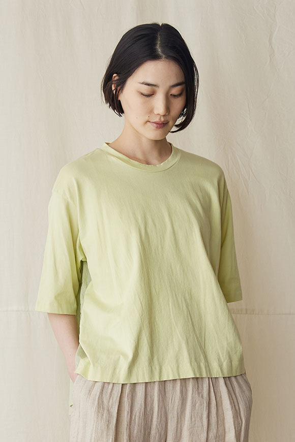 S241-01_sweet-coltsfoot-green