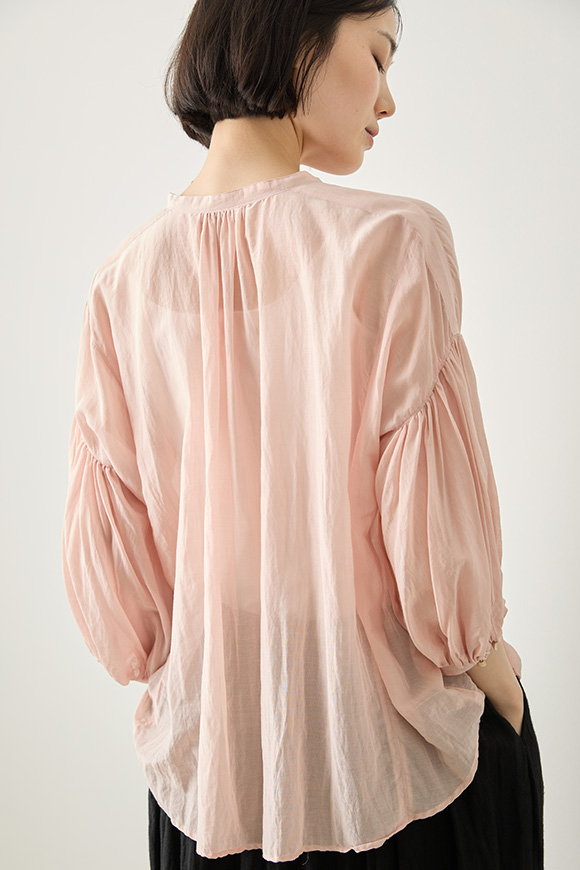 S261-18_cherry blossom