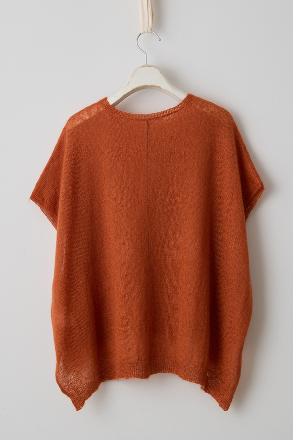 A271-06_winterberry orange