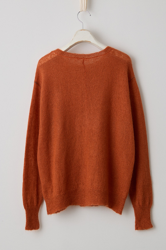 A272-04_winterberry orange