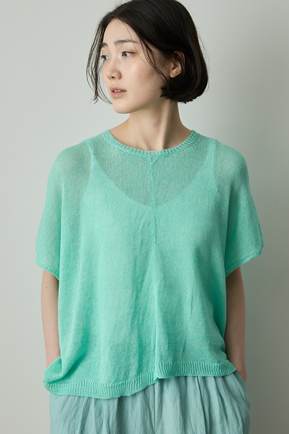 S261-31_spray green