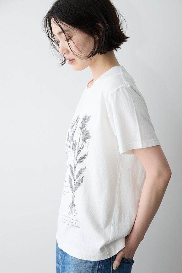 B272-02_off white