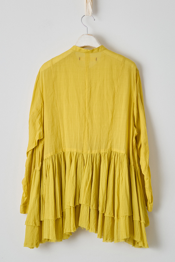 S271-02_mimosa