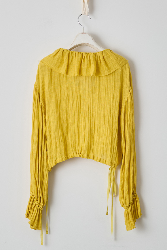 S271-04_forsythia yellow
