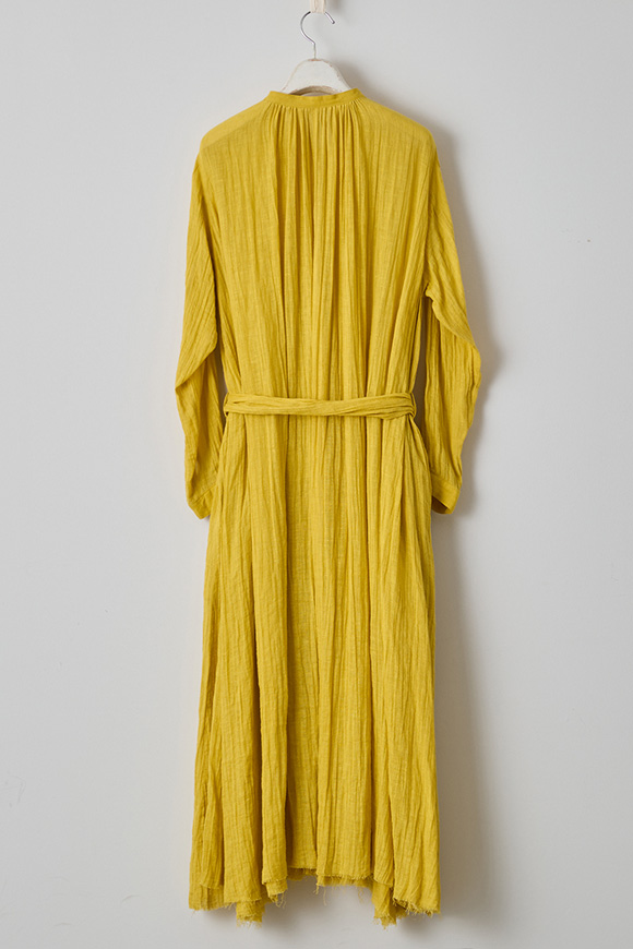 S271-05_forsythia yellow