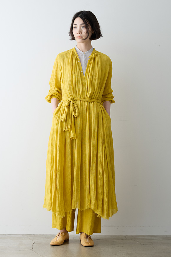 S271-05_forsythia yellow
