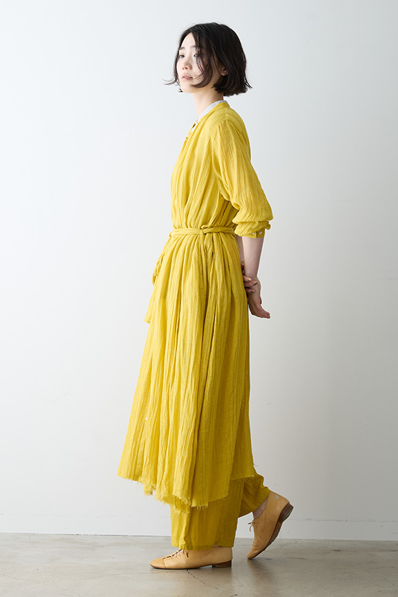S271-05_forsythia yellow