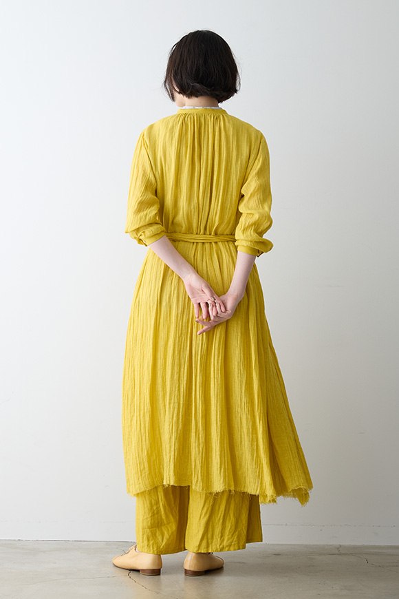 S271-05_forsythia yellow