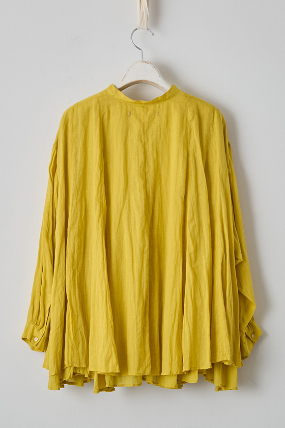 S271-09_mimosa