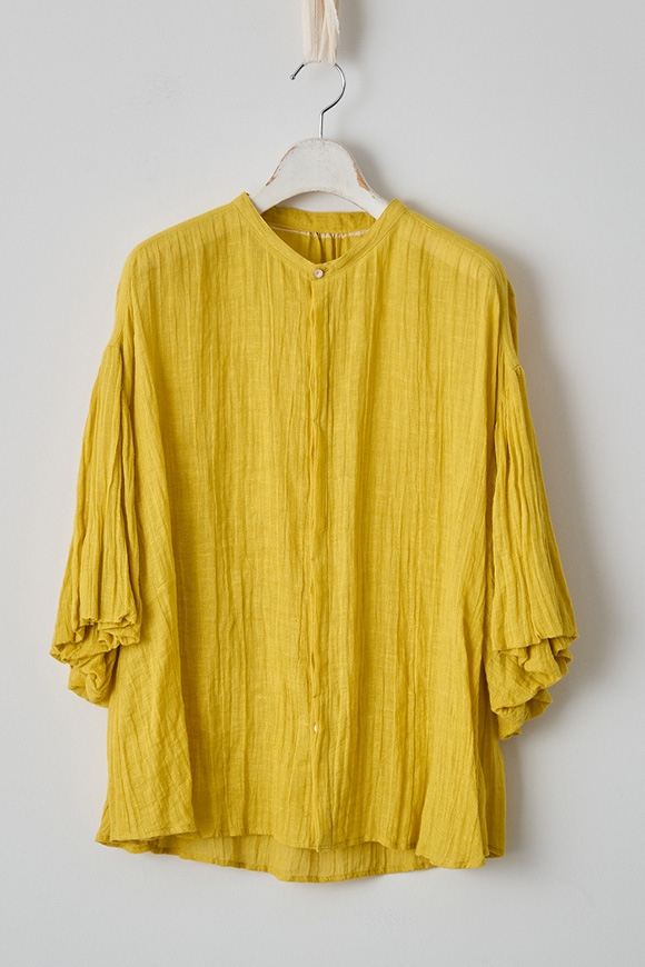 S271-10_forsythia yellow