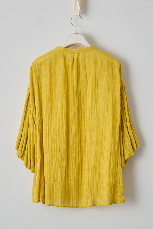 S271-10_forsythia yellow