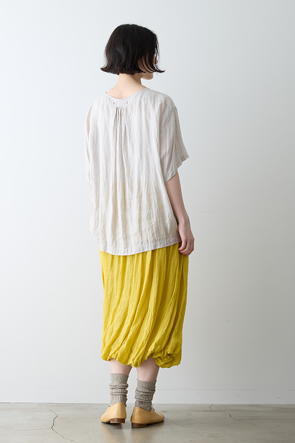 S271-20_canola yellow