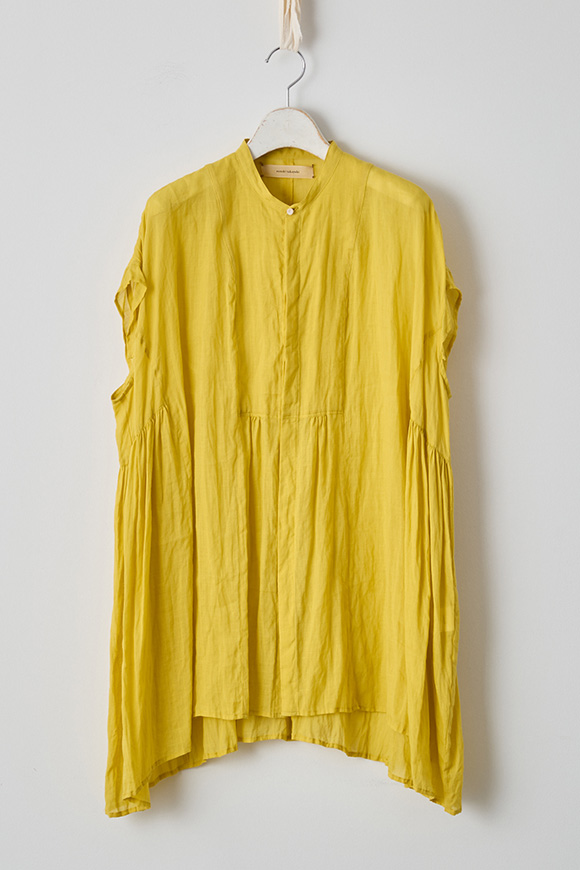 S271-30_mimosa