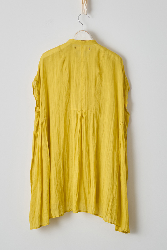 S271-30_mimosa
