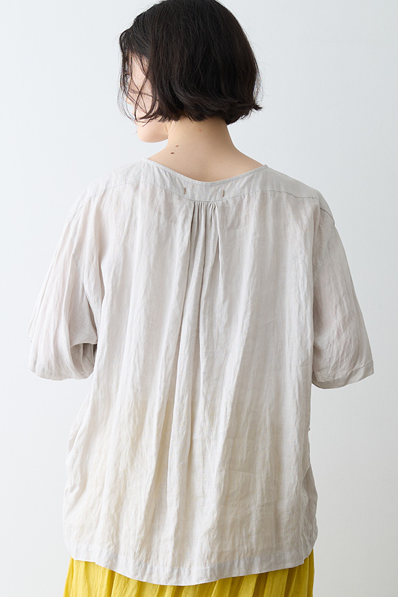 S271-31_orchid white