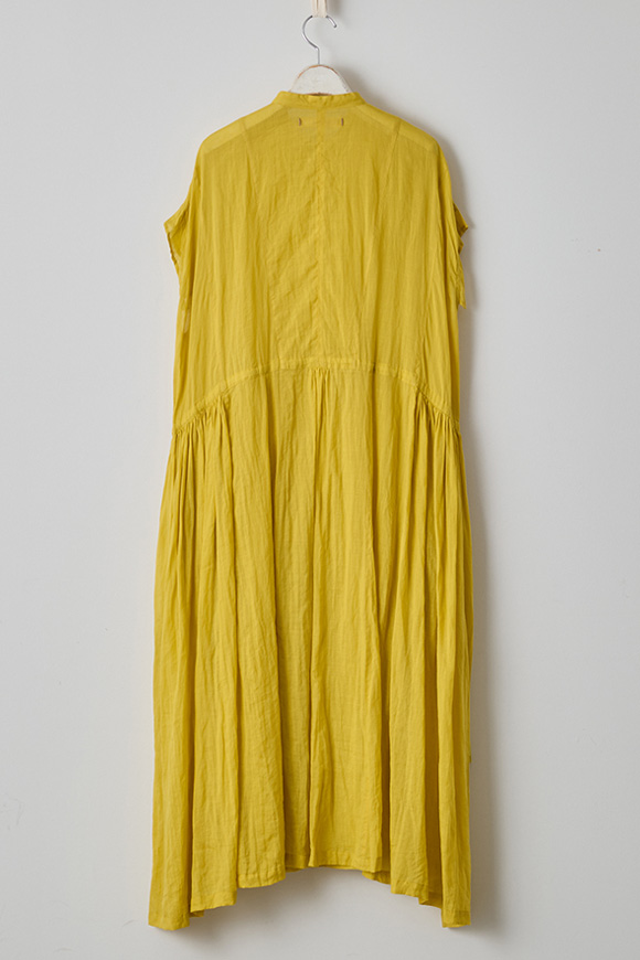 S271-33_mimosa