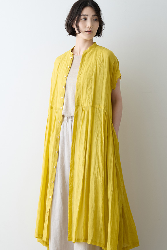 S271-33_mimosa