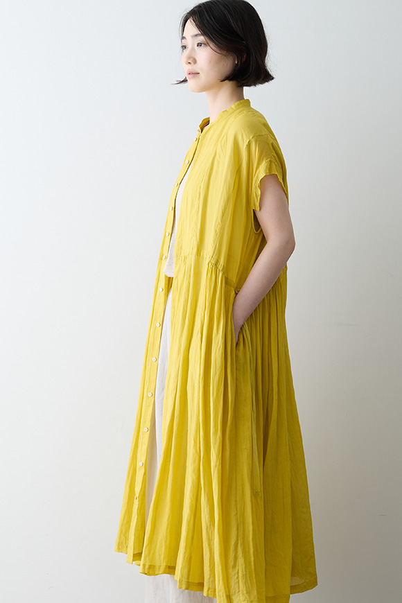 S271-33_mimosa