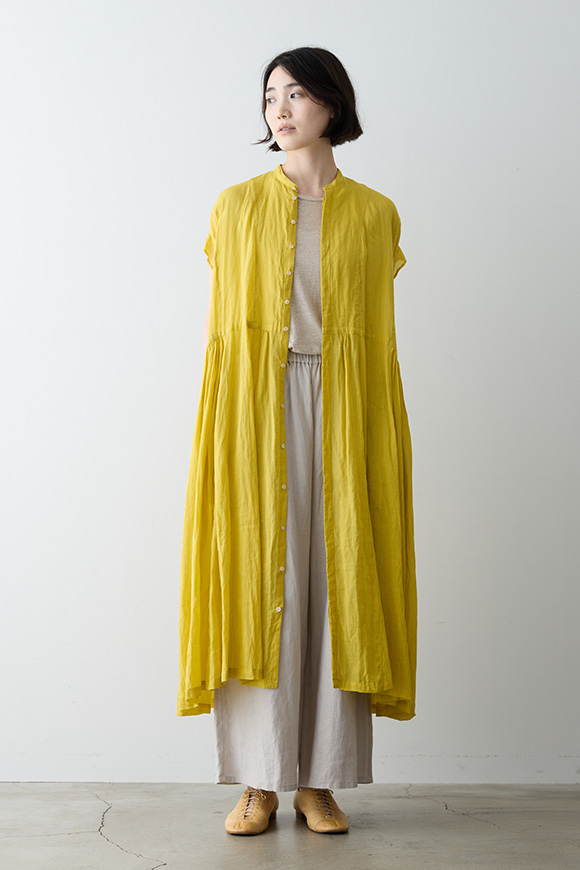 S271-33_mimosa