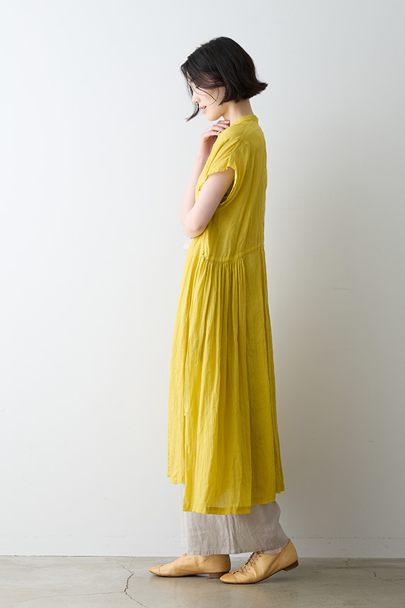 S271-33_mimosa