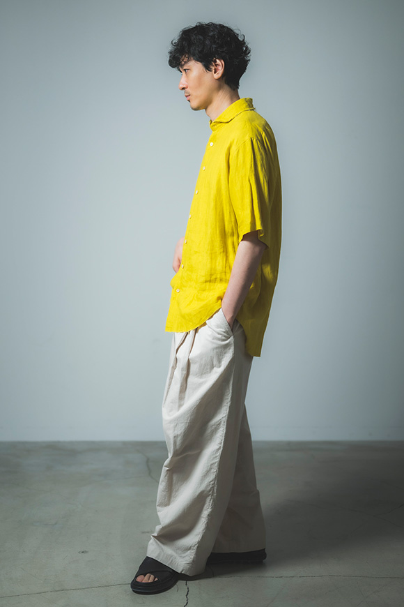 S273-04_dandelion