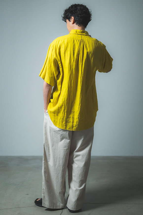 S273-04_dandelion