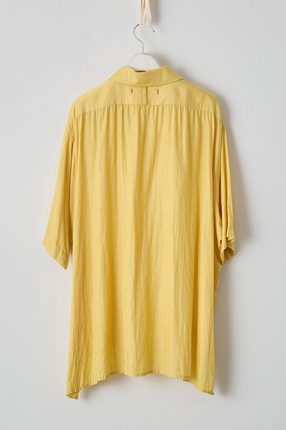 S272-16_maize yellow