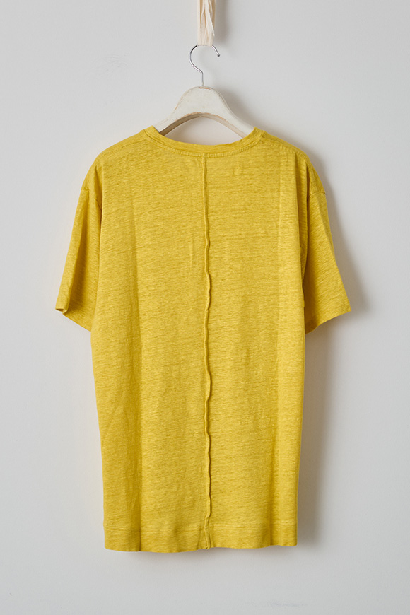 S272-19_orpiment yellow