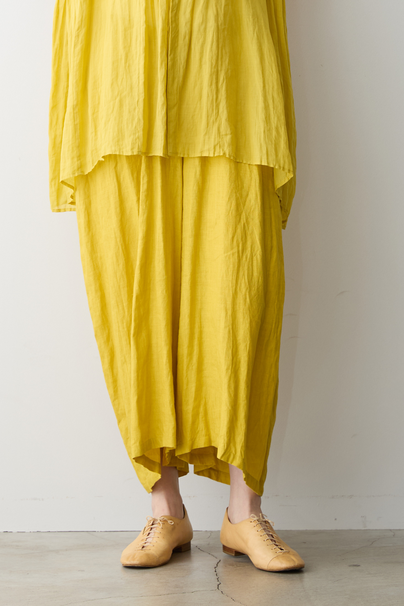 S272-20_dandelion