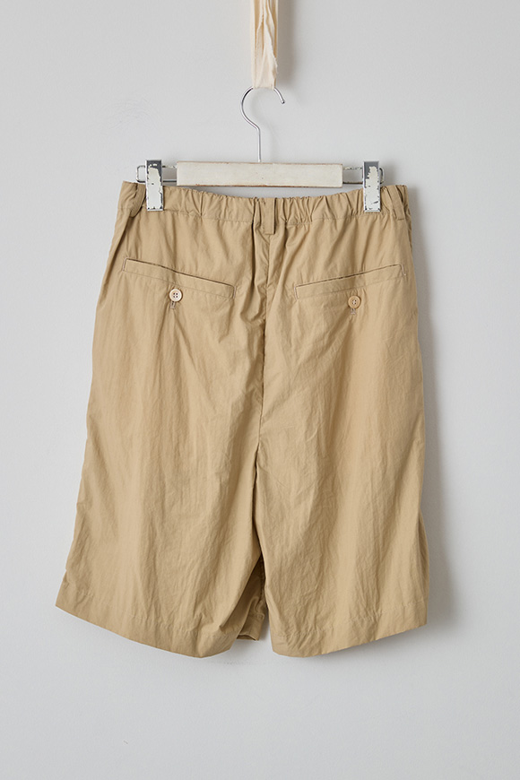 S272-21_hazel