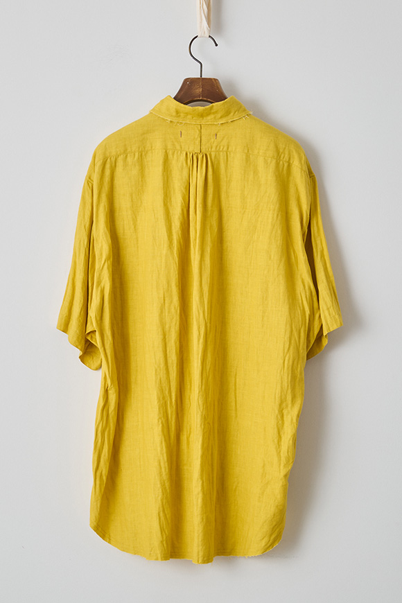S273-04_dandelion